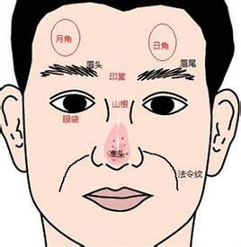 額頭 日月角|【日月角 面相】你的命運藏在日月角？拆解面相中的「日月角」！